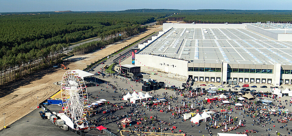 Pine forest makes way for the Tesla gigafactory