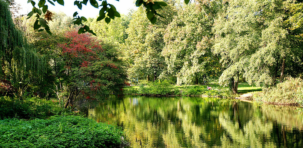 Tiergarten Park Berlin Mitte