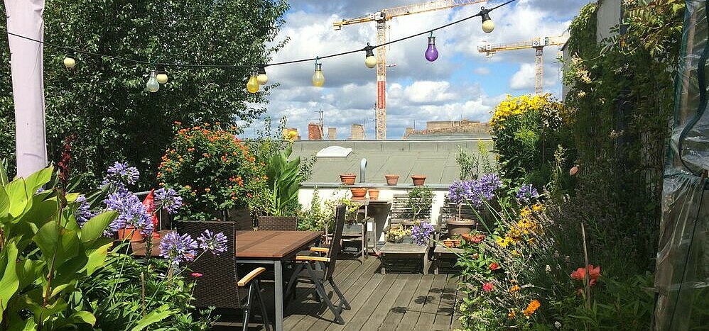 Rooftop Gardening at Prenzlauer Berg